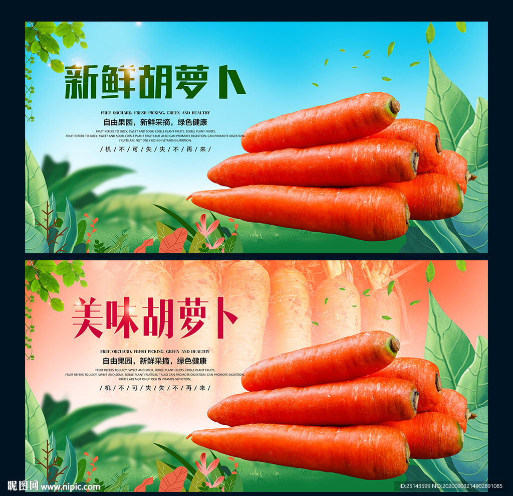 胡萝卜