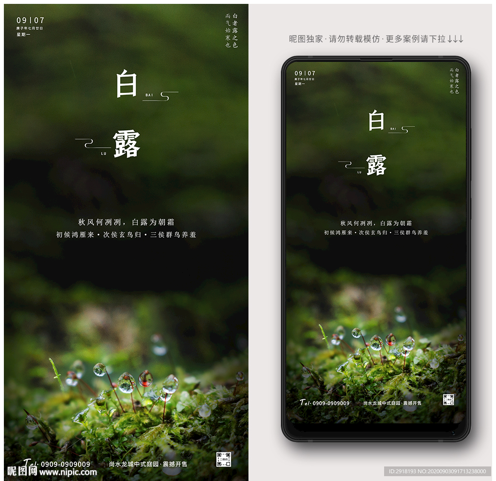 白露