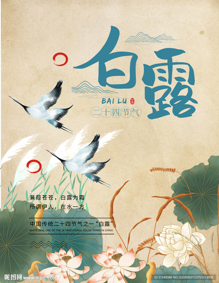 白露 肖
