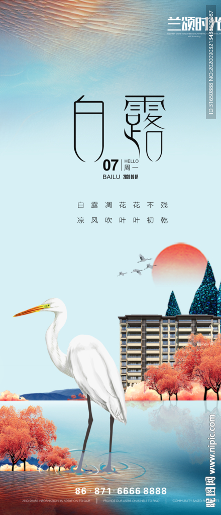 白露