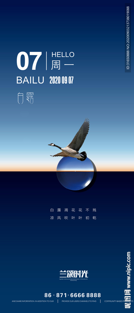 白露