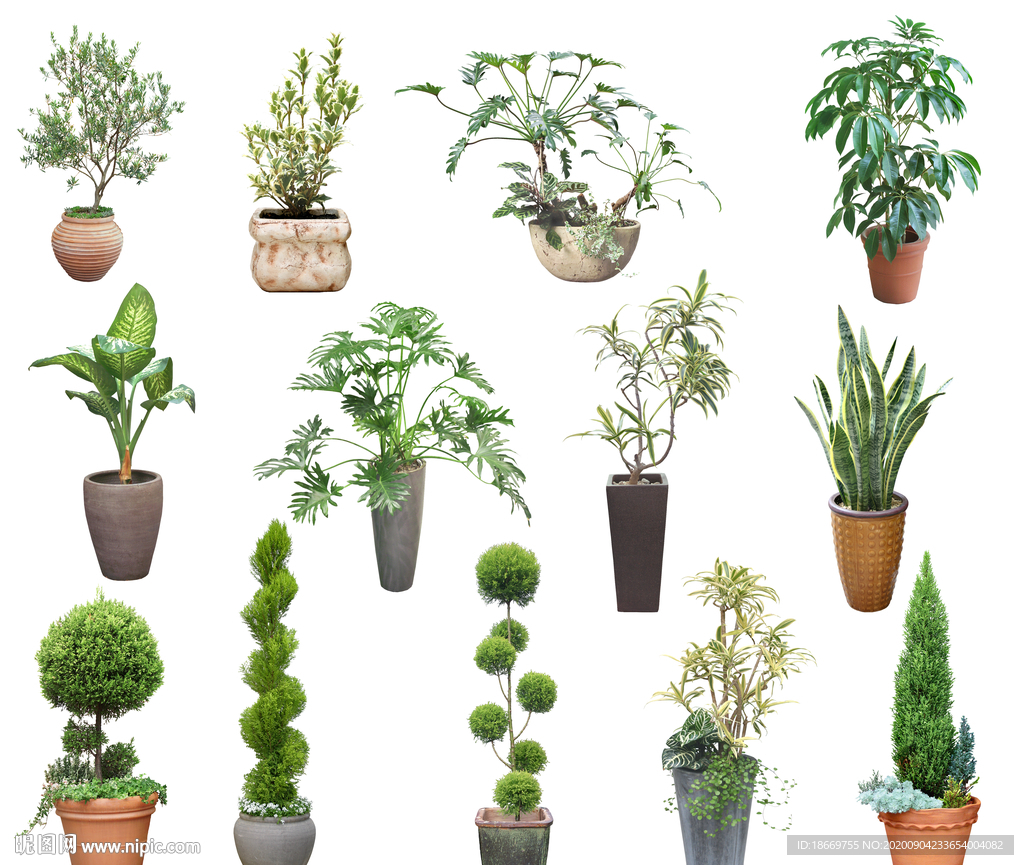 室内盆栽植物国外3d模型下载-【集简空间】「每日更新」