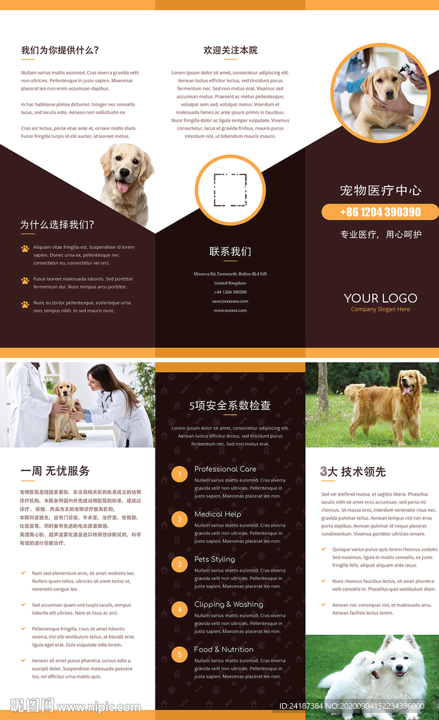 宠物三折页