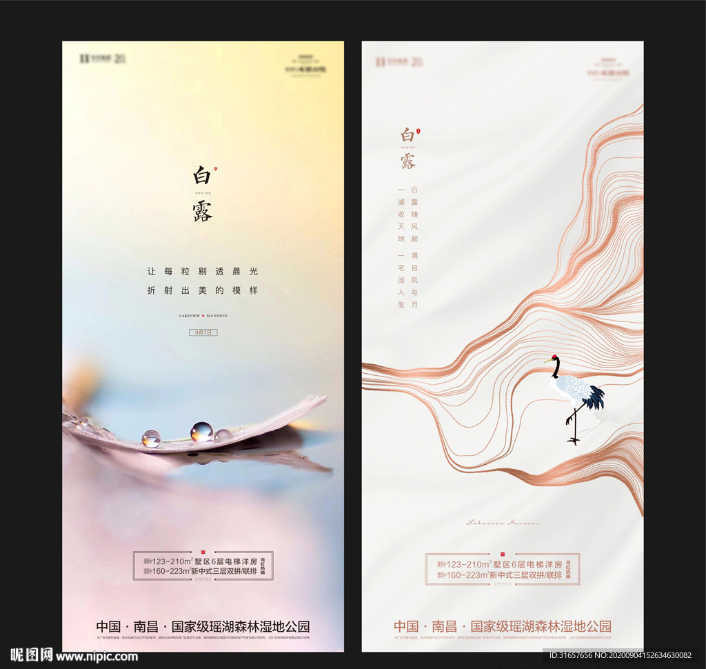 地产白露图片