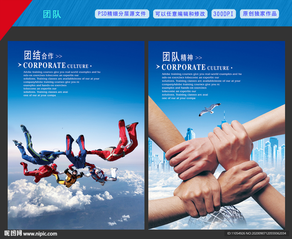 团队