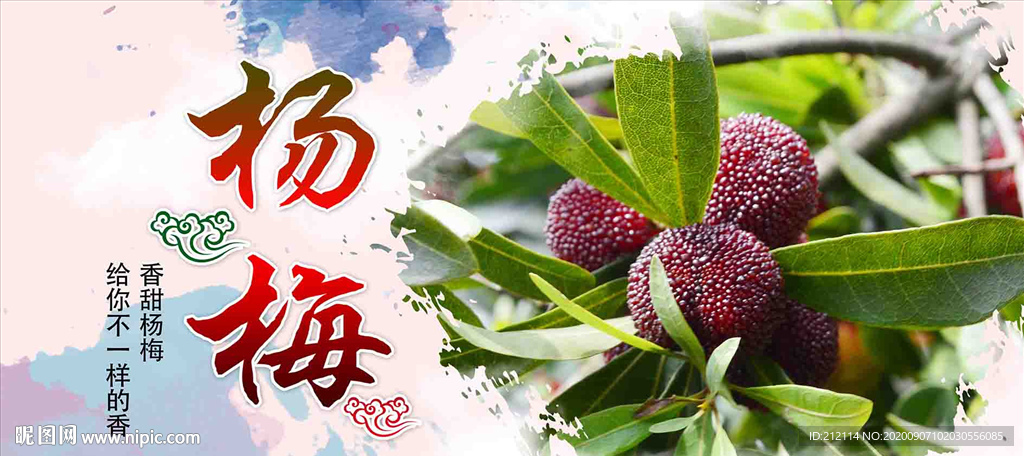 杨梅
