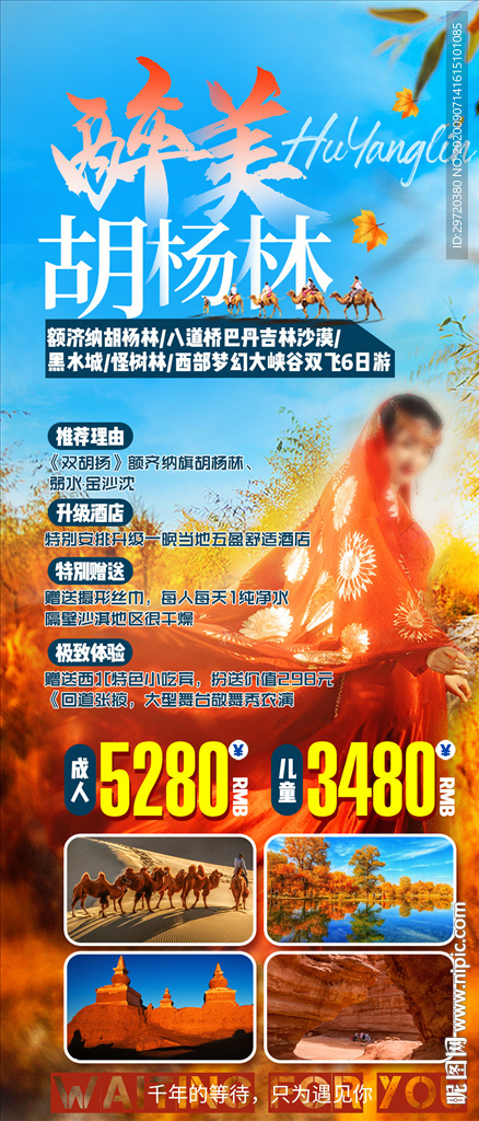胡杨林旅游海报