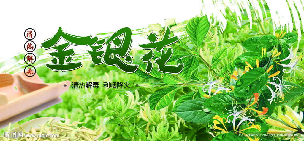 金银花茶