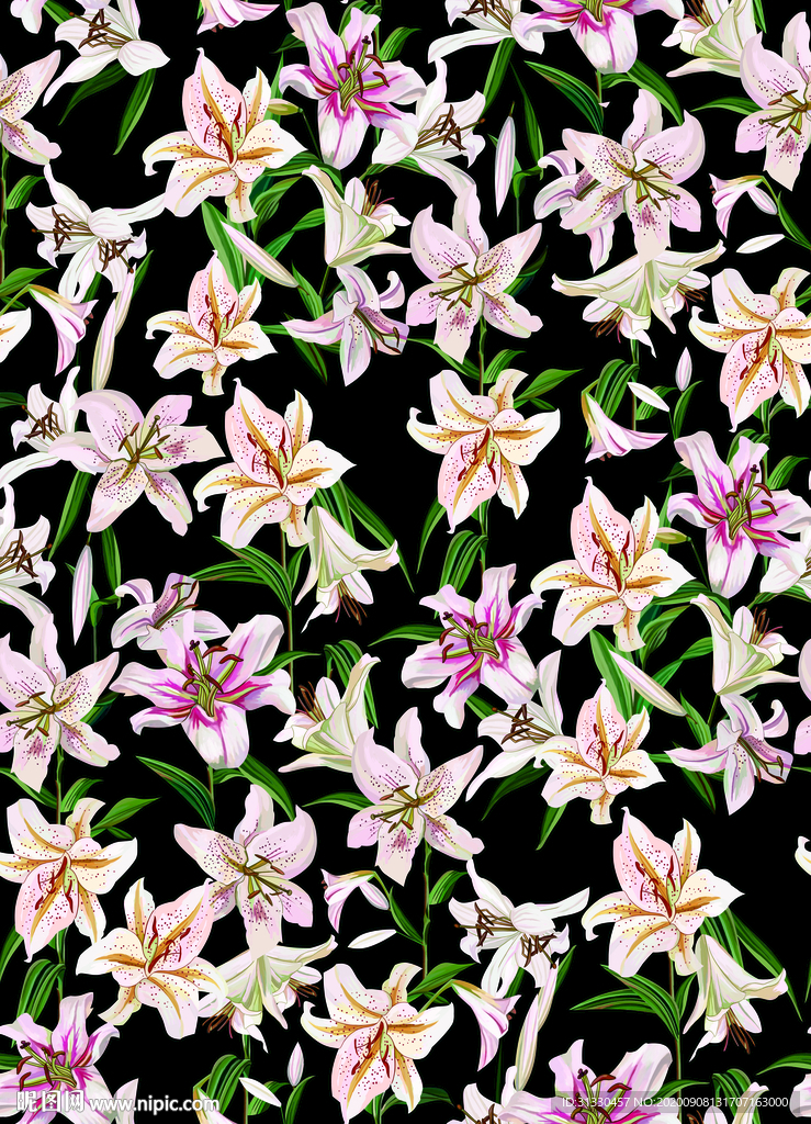手绘百合花