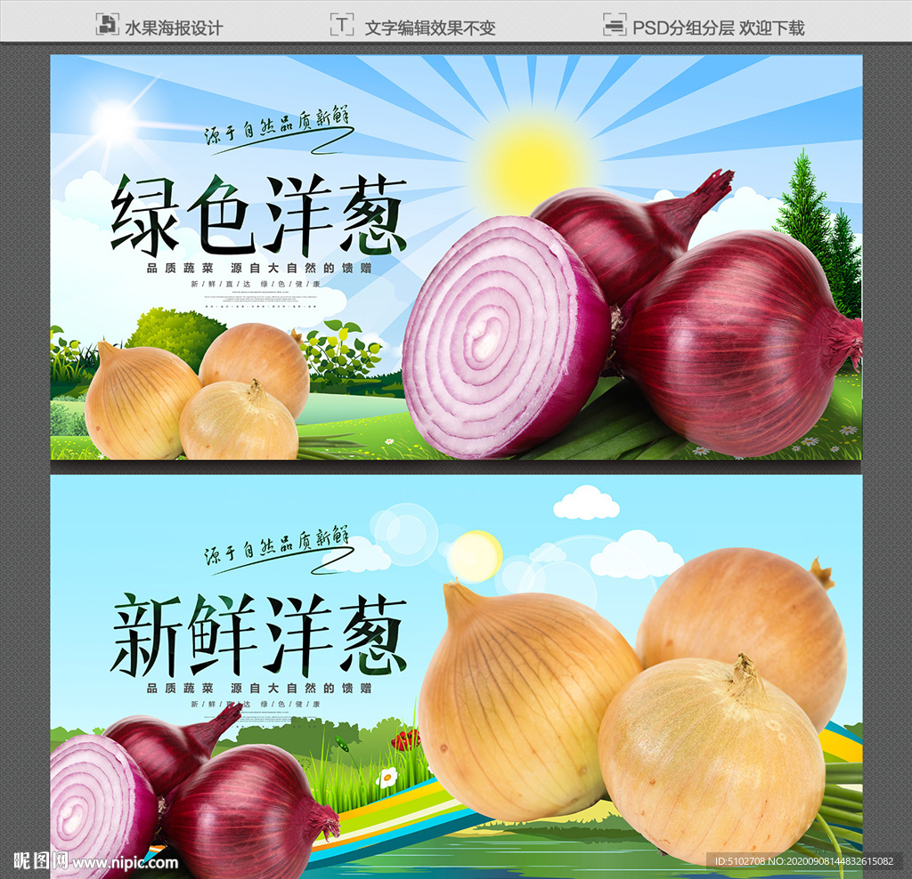 洋葱