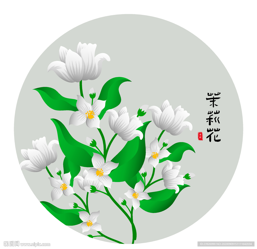 茉莉花