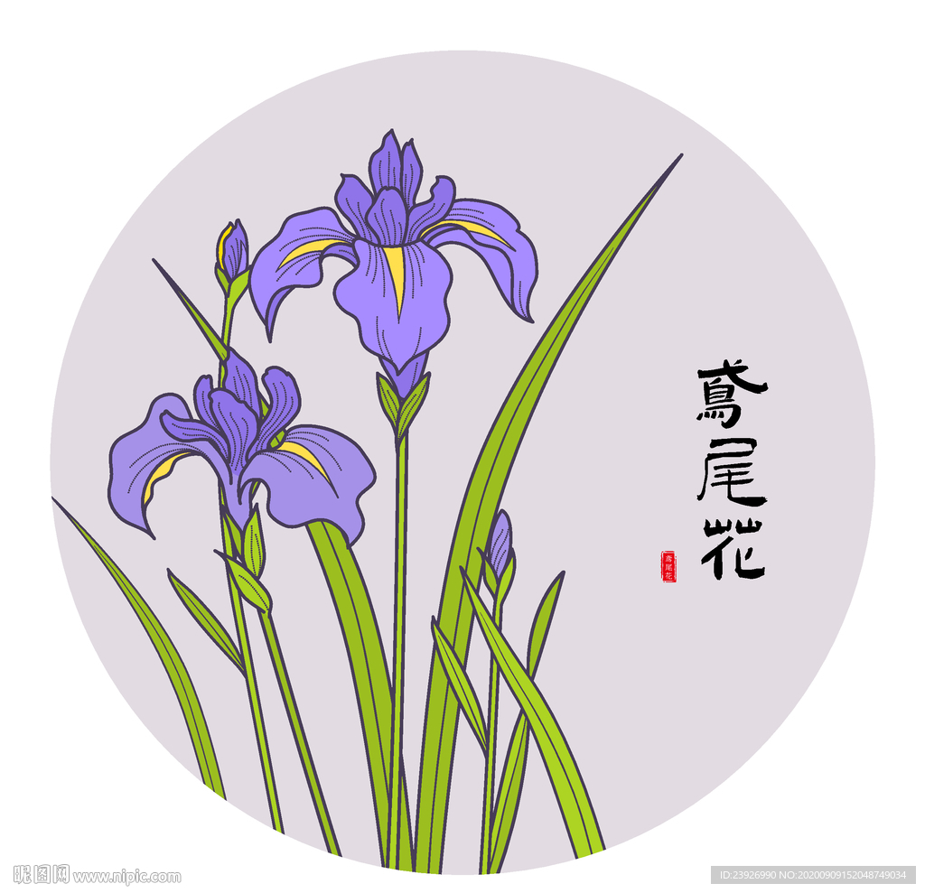 鸢尾花
