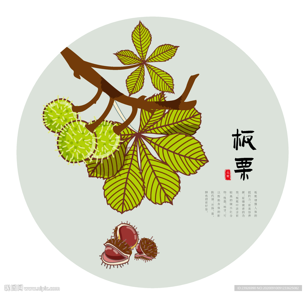 手绘板栗