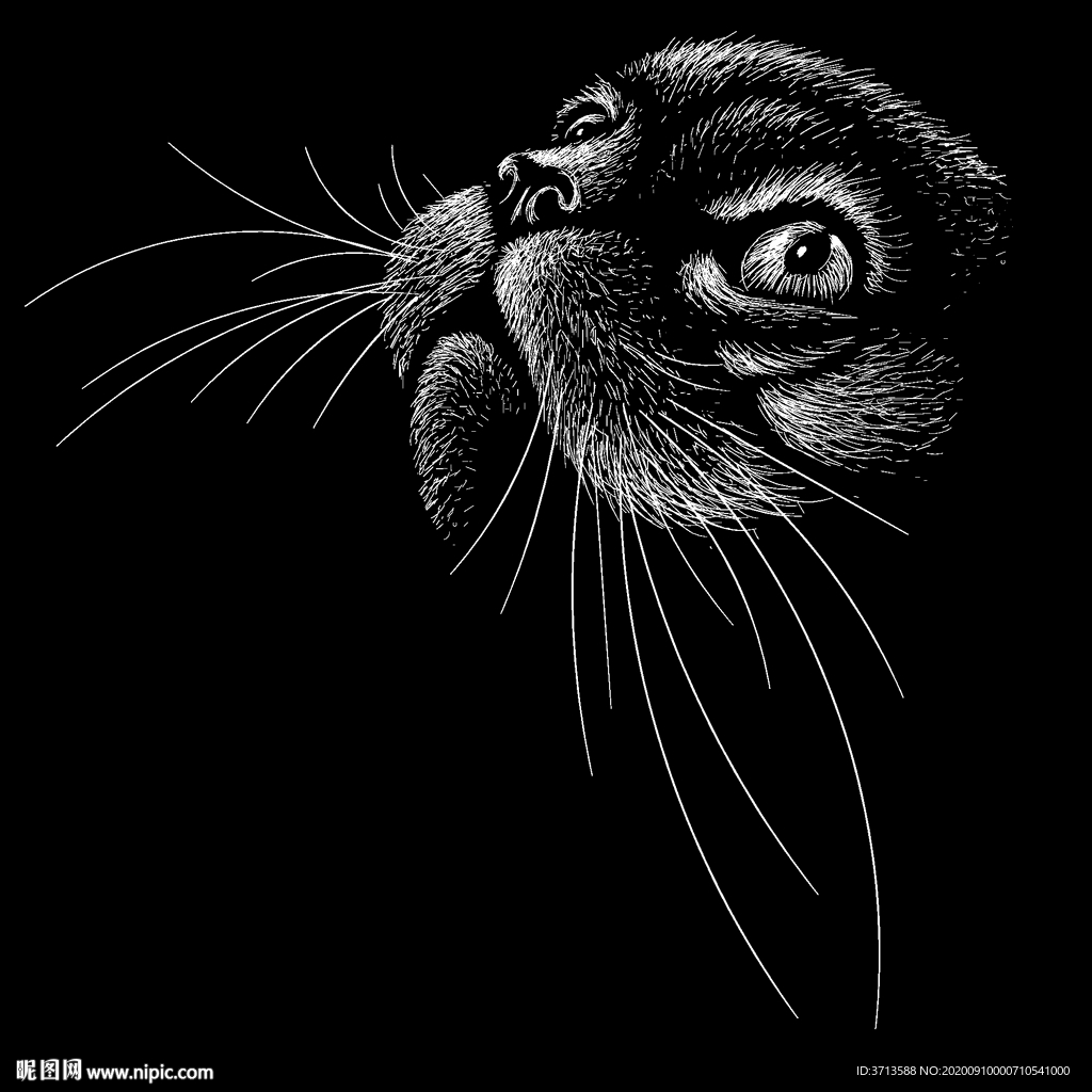 小猫手绘线条白描素描手绘插画