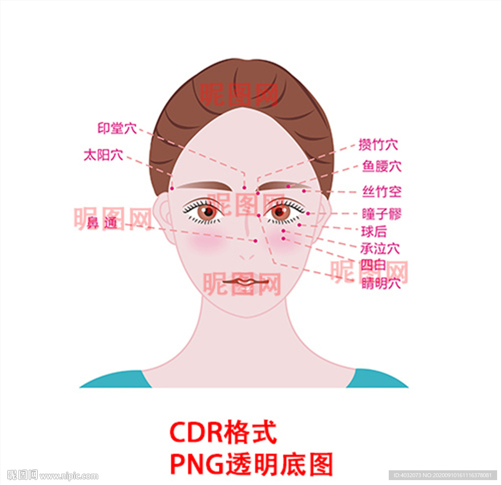 美女面部穴位图CDR矢量高清图