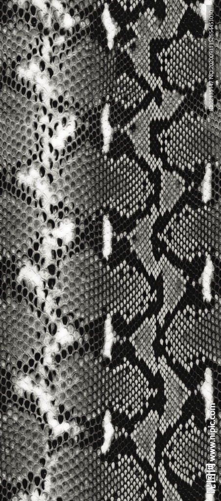 蛇纹 蛇皮
