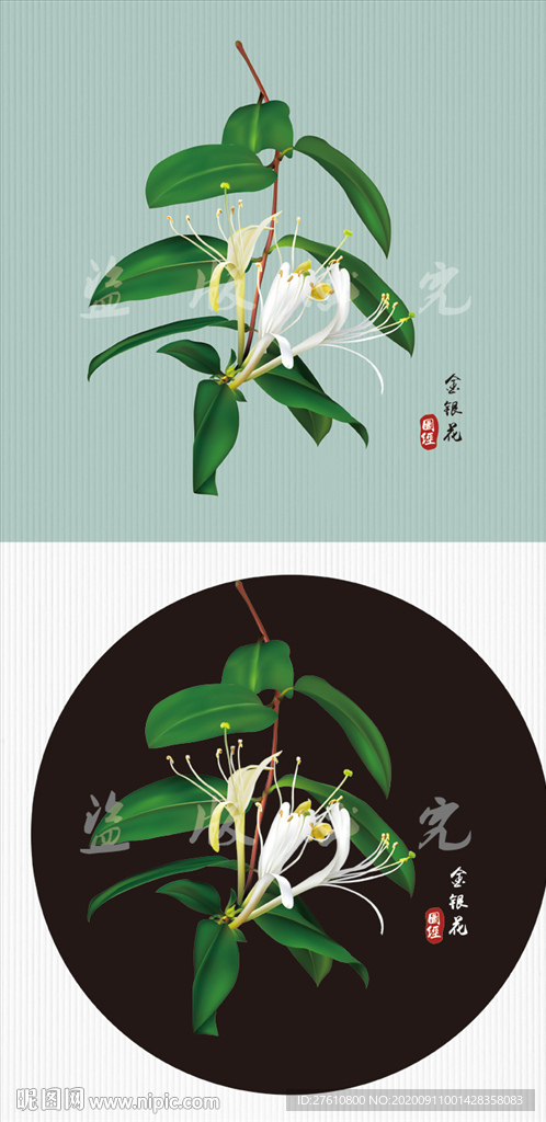 矢量金银花