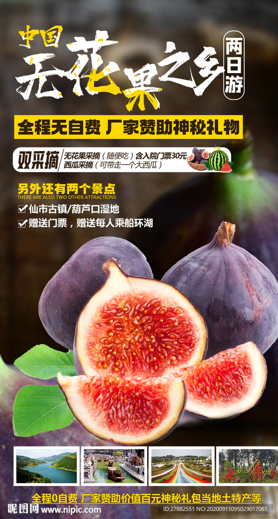 简单大气无花果海报设计海报