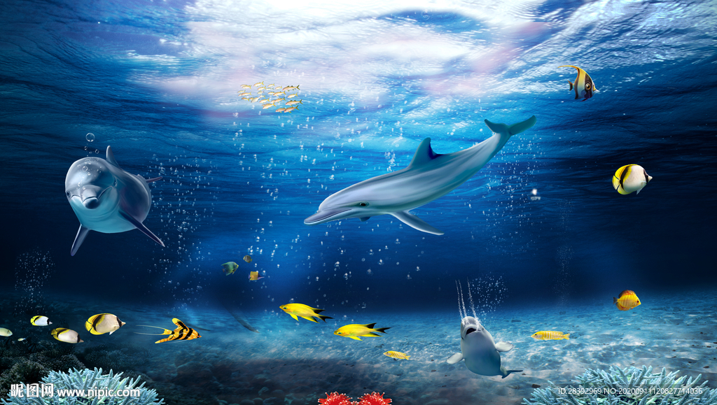 海底世界