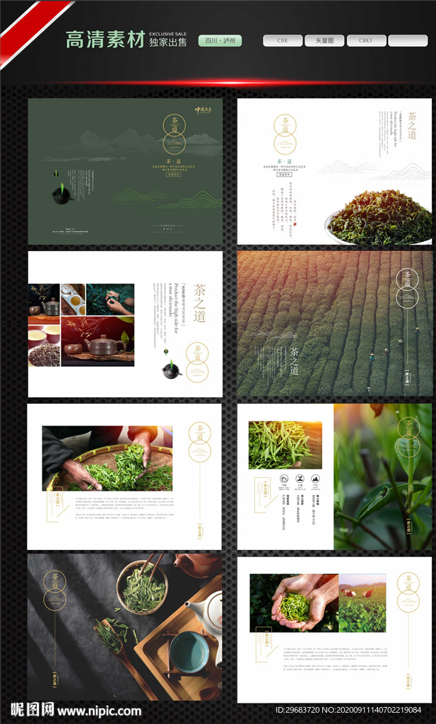 茶画册 茶折页