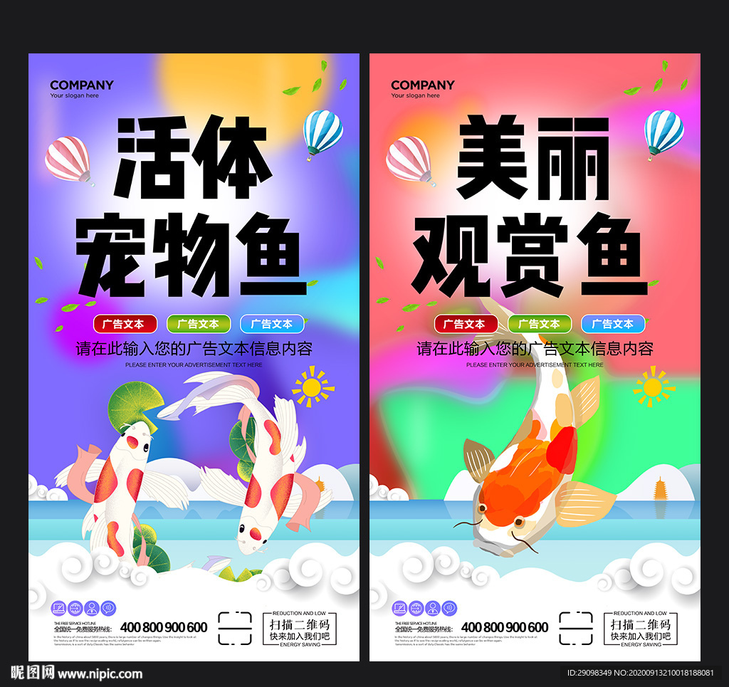 宠物鱼