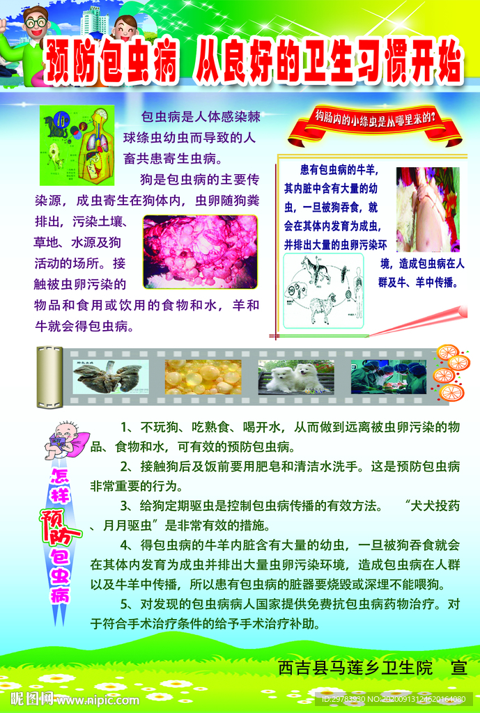 包虫病