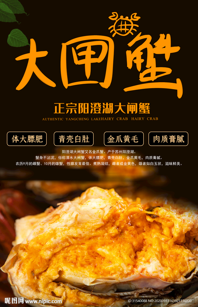 大闸蟹 蟹宴 原创