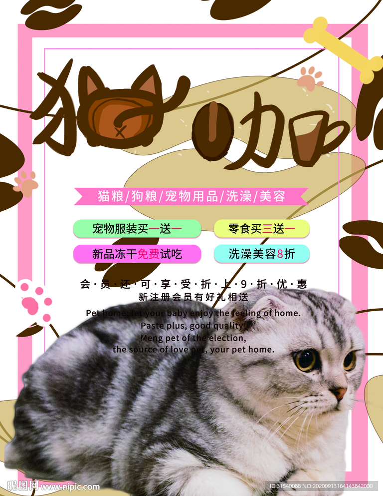猫咖 原创