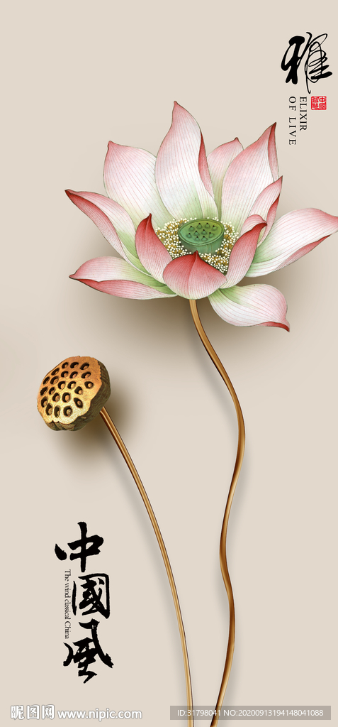 荷花