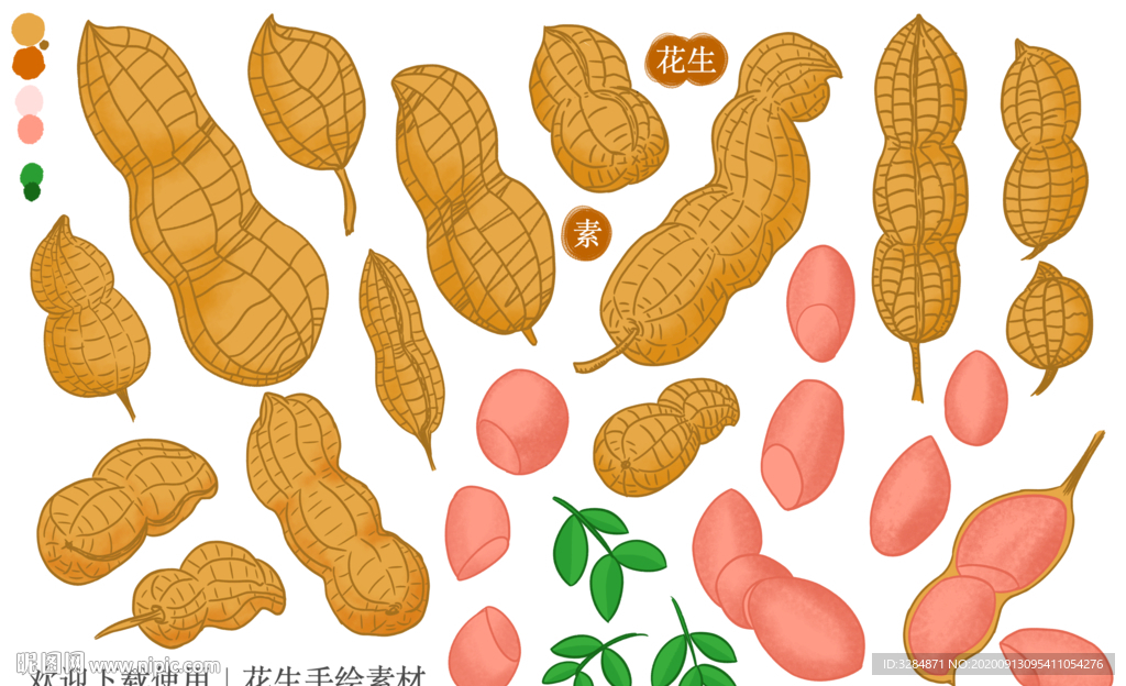 花生手绘素材
