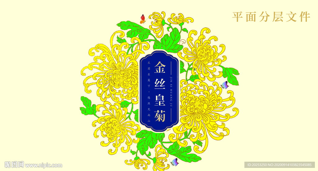 金丝皇菊