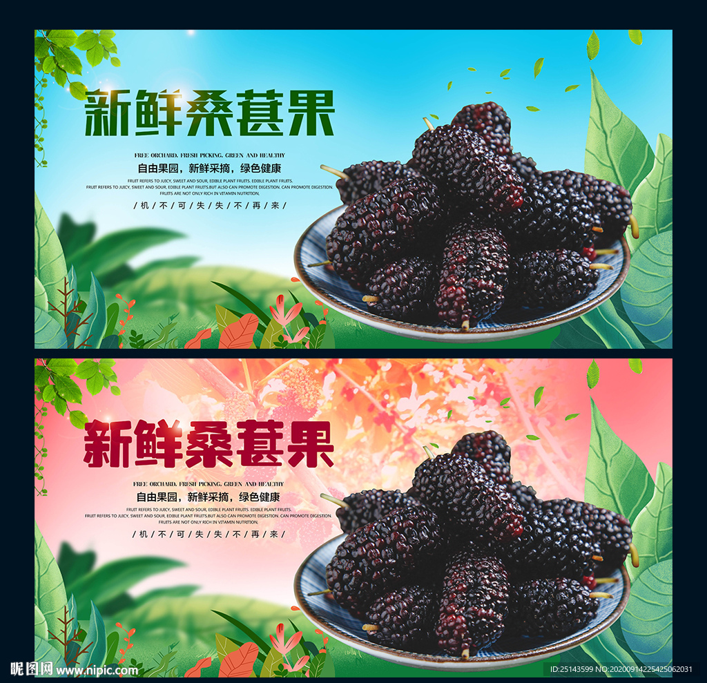 桑葚果