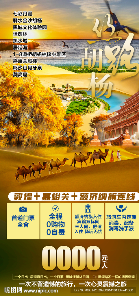 丝路胡杨