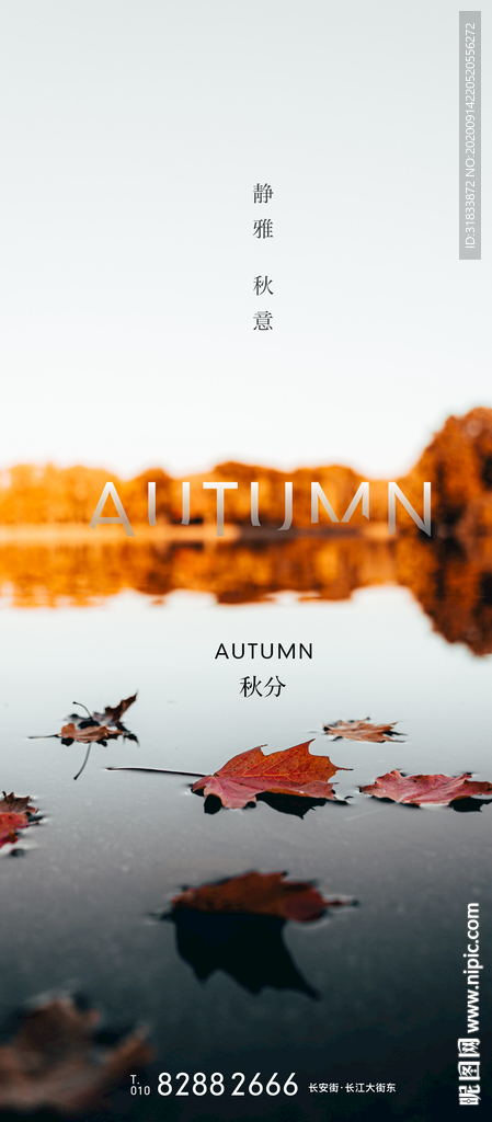 秋分