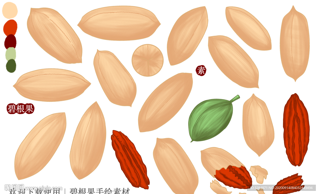 碧根果手绘素材