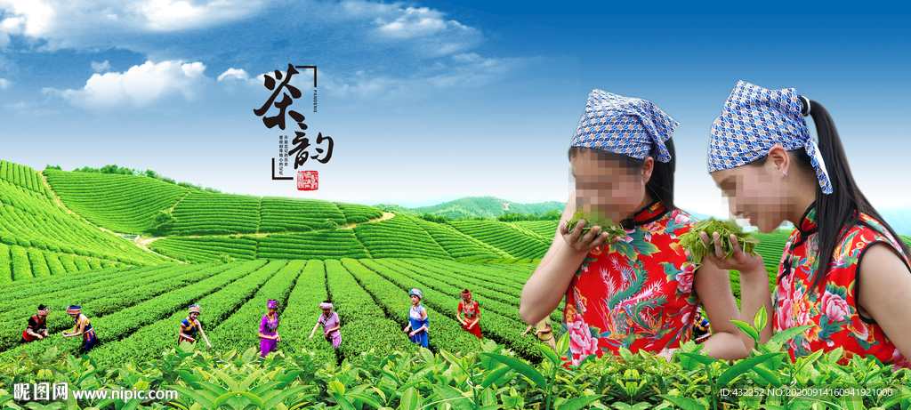 新茶