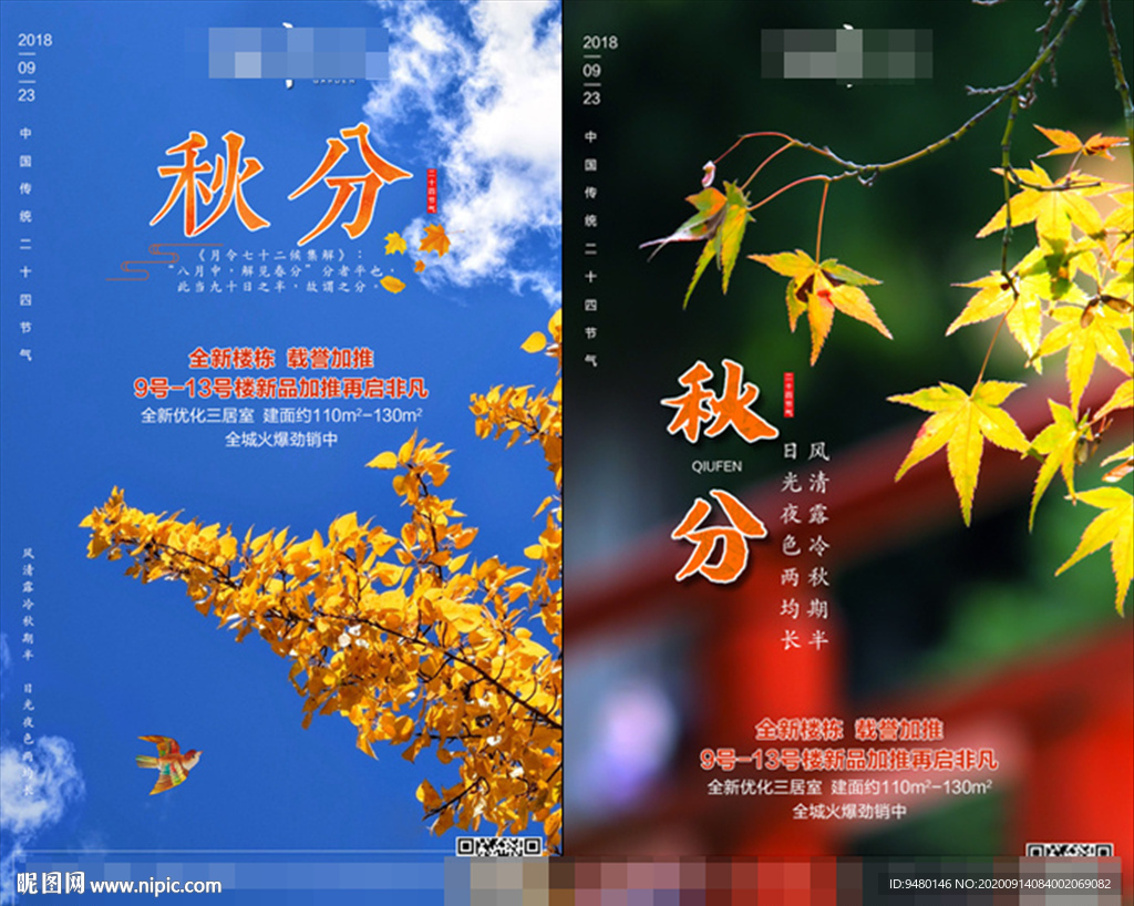 传统节气   秋分