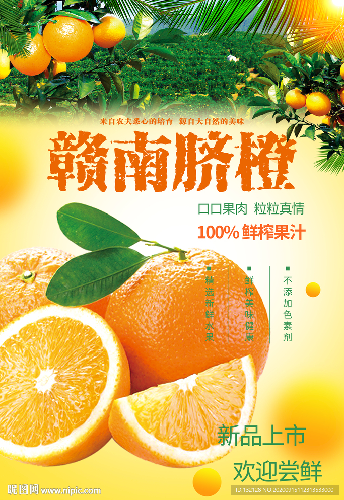 赣南脐橙海报
