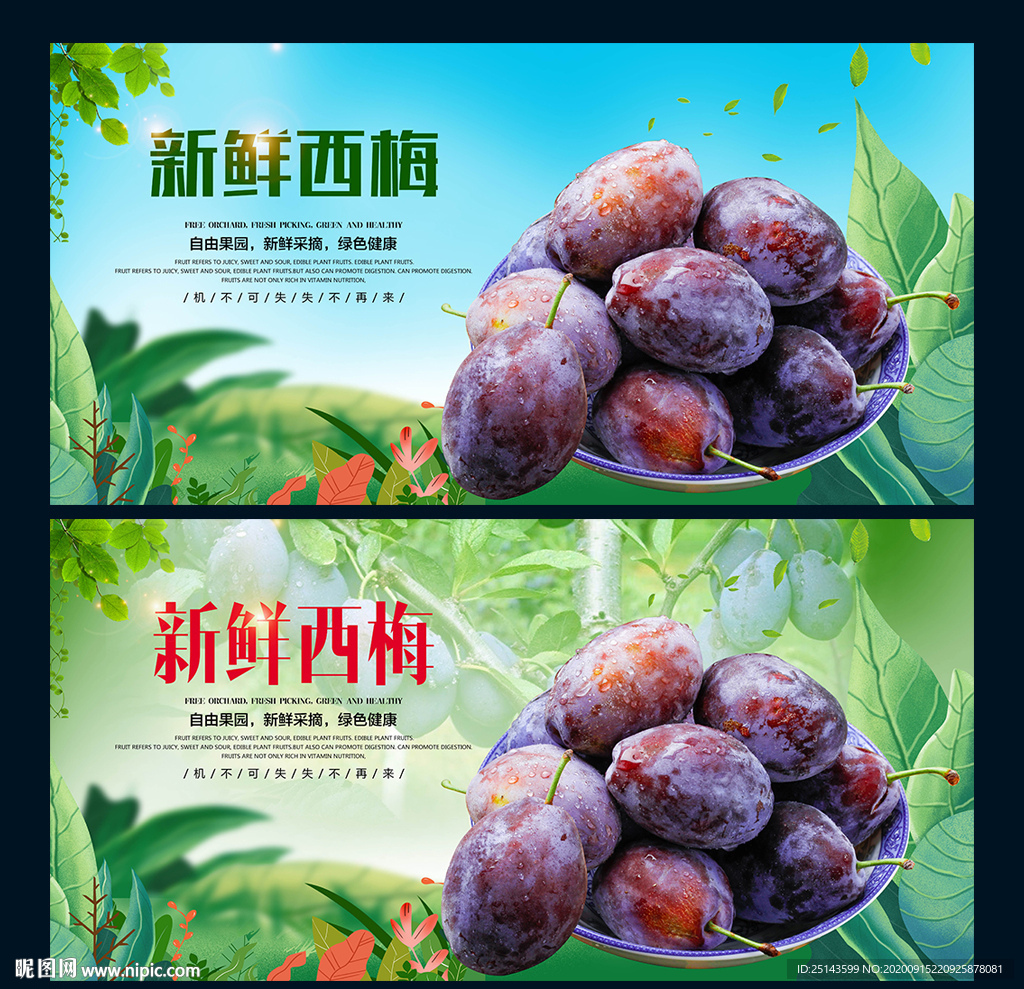 西梅