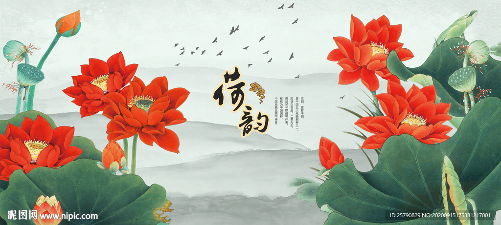 荷花