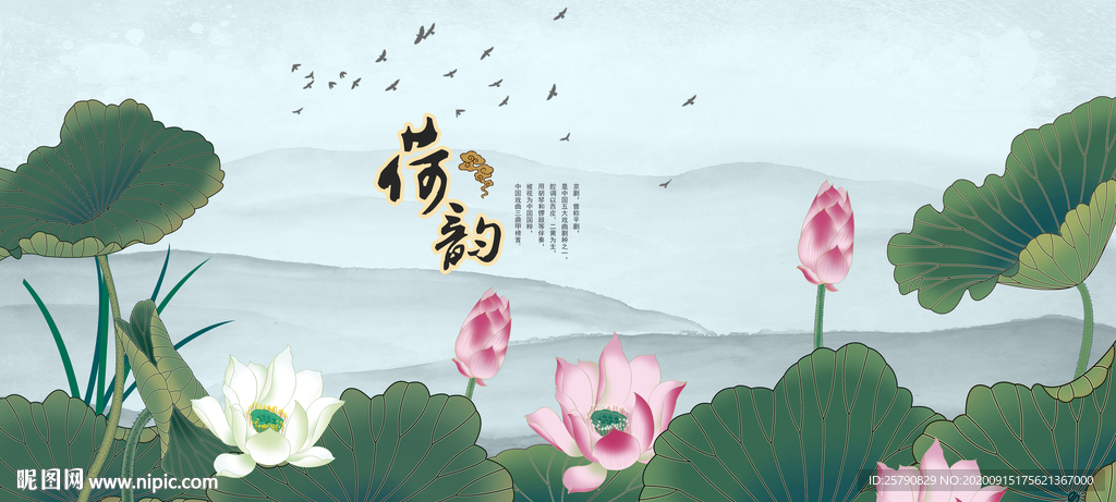 荷花