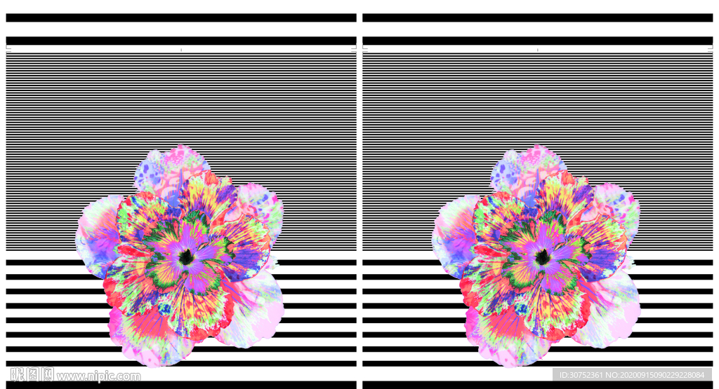 玫瑰花