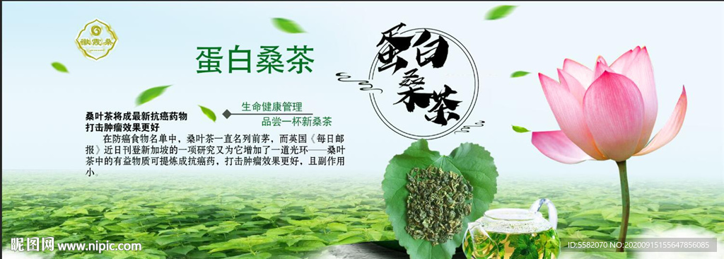 蛋白桑红茶