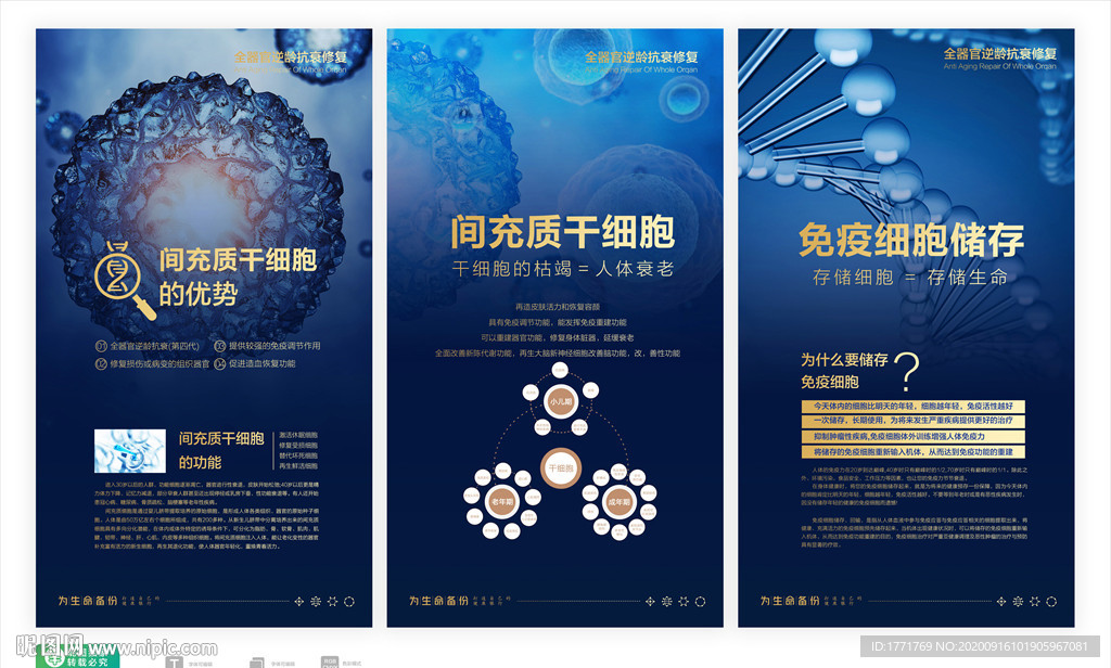 干细胞海报