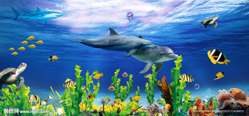 海洋生物
