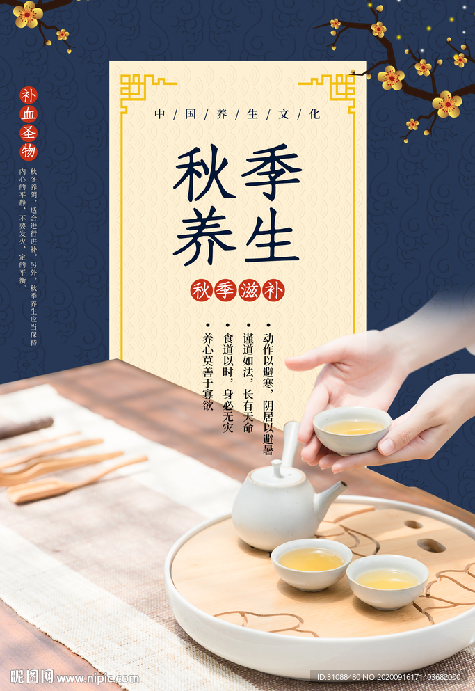 秋季养生海报 茶道海报