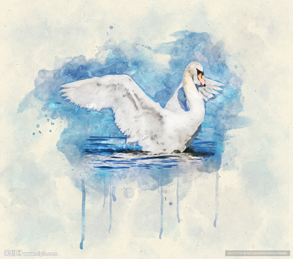 水彩天鹅