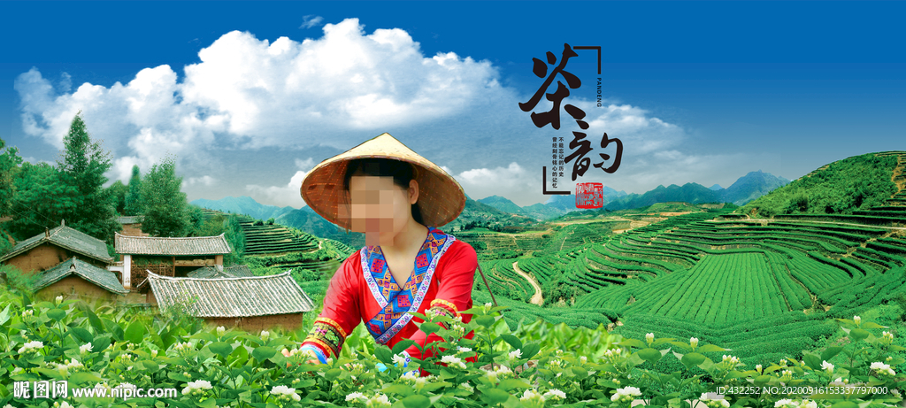 春茶