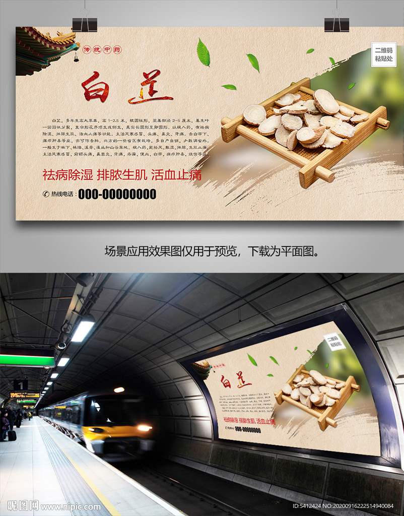 中草药白芷灯箱海报展板挂画单页