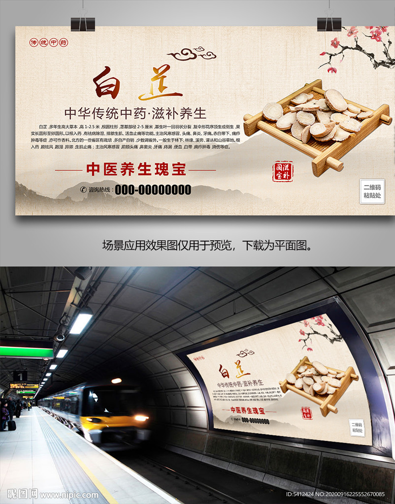 中药白芷海报灯箱挂画展板单页